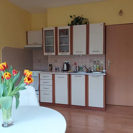 Apartment Utulny Bytecek V Hejnicich Hejnice (Liberec)
