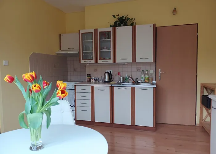 Apartamento útulný Byteček V Hejnicích Hejnice (Liberec)